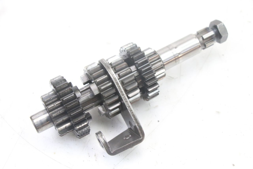 photo de CAJA CAMBIOS MBK X-LIMIT XLIMIT 50 (2007 - 2012) - Primer plano técnico