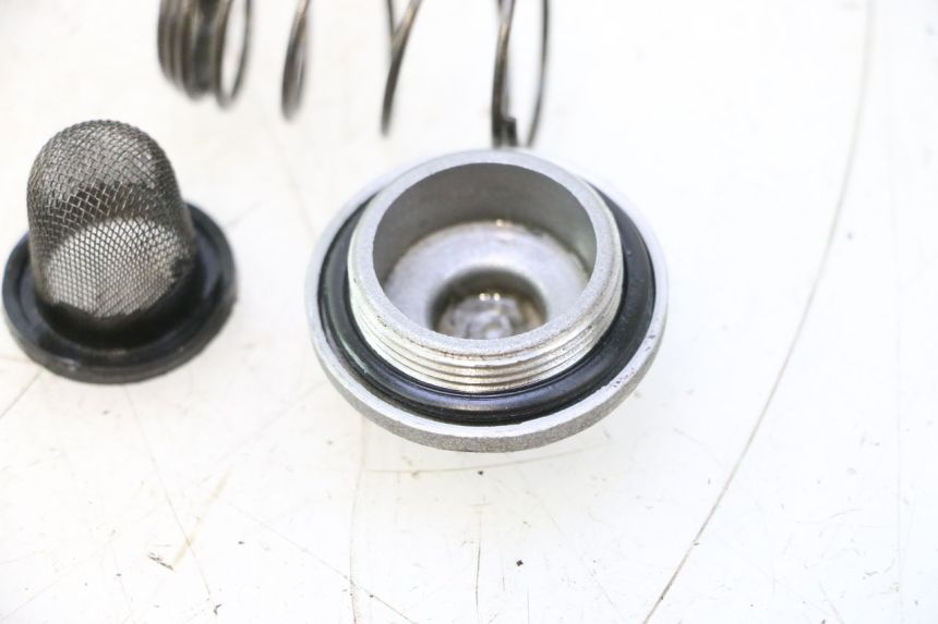 photo de MOTOR TAPA ACEITE LAZIO RENO 50 (2016 - 2021) - Primer plano técnico