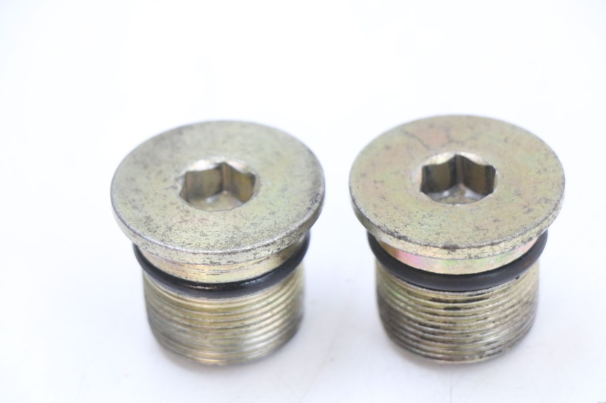 photo de TAPON DE HORQUILLA JONWAY AZTRAL 125 (2008 - 2017) - Vista principal