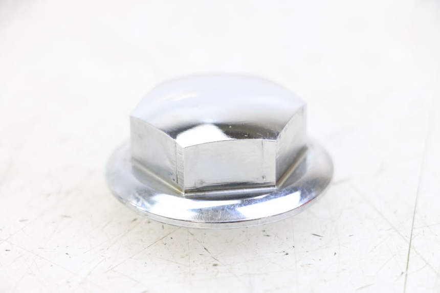 photo de TAPA HORQUILLA ROYAL ENFIELD HYMALAYAN 410 (2016 - 2023) - Zoom estado de uso