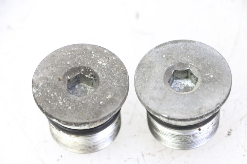 photo de TAPA HORQUILLA PIAGGIO X9 EVOLUTION 125 (2003 - 2007) - Vista principal