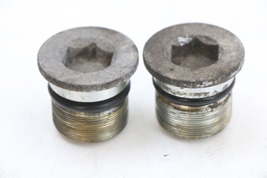 photo de TAPA HORQUILLA PIAGGIO X9 125 (2000 - 2003) - Vista principal