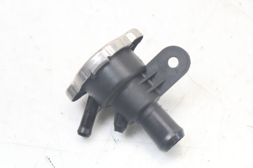 photo de TAPA DEL RADIADOR QUADRO 3D S 350 (2013 - 2018) - Primer plano técnico