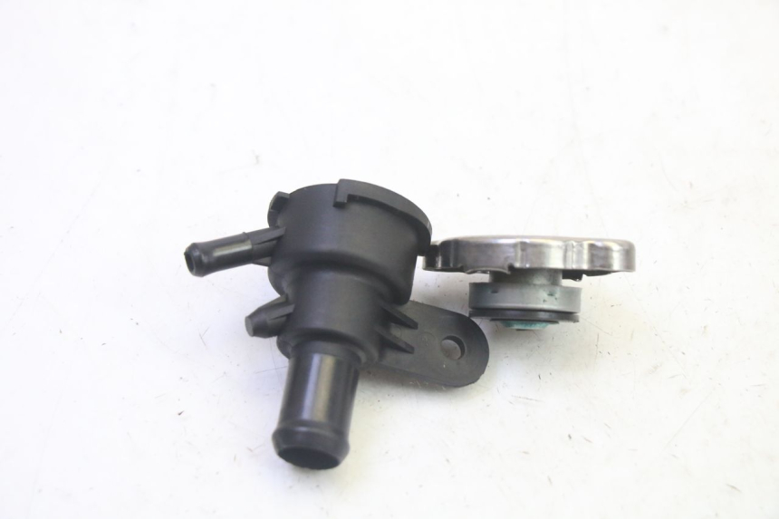 photo de TAPON DE RADIADOR QUADRO 4 4D 350 (2015 - 2018) - Detalle de la pieza