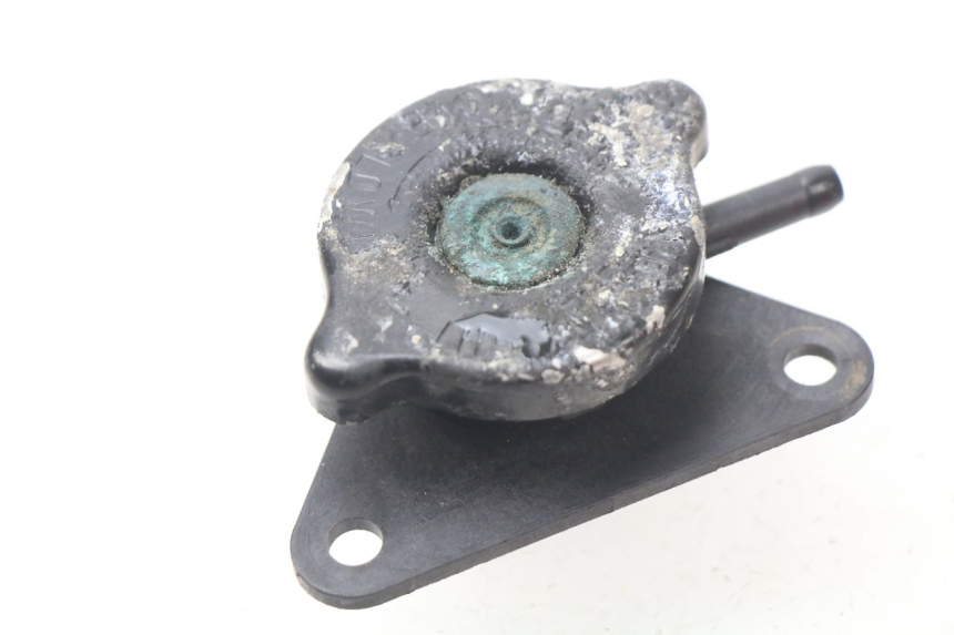 photo de TAPA DEL RADIADOR SUZUKI BURGMAN 125 (2007 - 2014) - Detalle de la pieza