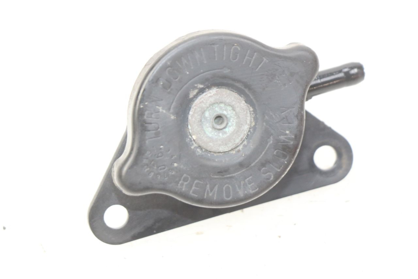 photo de TAPA DEL RADIADOR SUZUKI BURGMAN 125 (2007 - 2014) - Detalle de la pieza