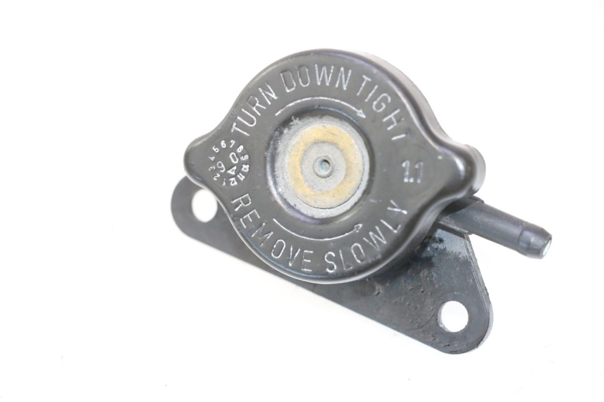 photo de TAPA DEL RADIADOR SUZUKI BURGMAN 125 (2007 - 2014) - Detalle de la pieza