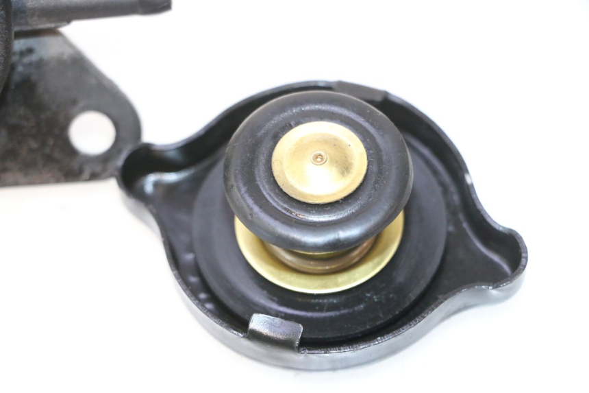 photo de TAPA DEL RADIADOR SUZUKI BURGMAN 125 (2007 - 2014) - Otra perspectiva