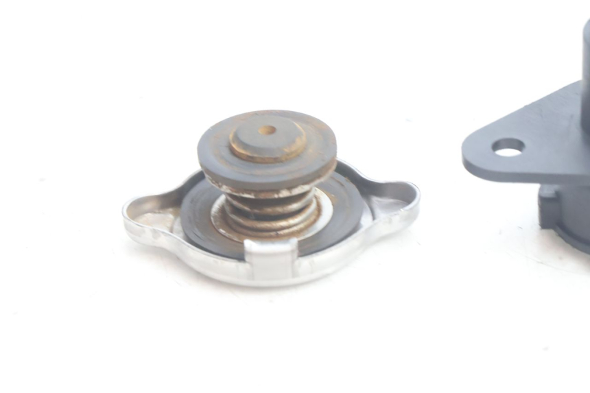 photo de TAPA DEL RADIADOR BMW C1 125 (2000 - 2003) - Otra perspectiva