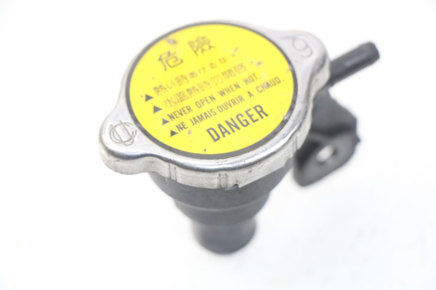 photo de TAPA DEL RADIADOR KYMCO DINK STREET 125 (2009 - 2014) - Detalle de la pieza