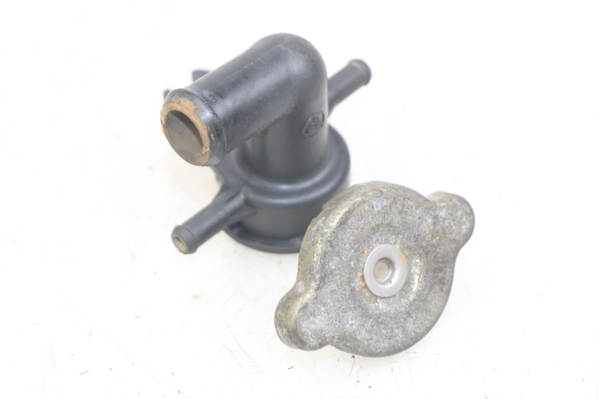 photo de TAPA DEL RADIADOR HONDA FES PANTHEON 2T 125 (1998 - 2002) - Vista principal