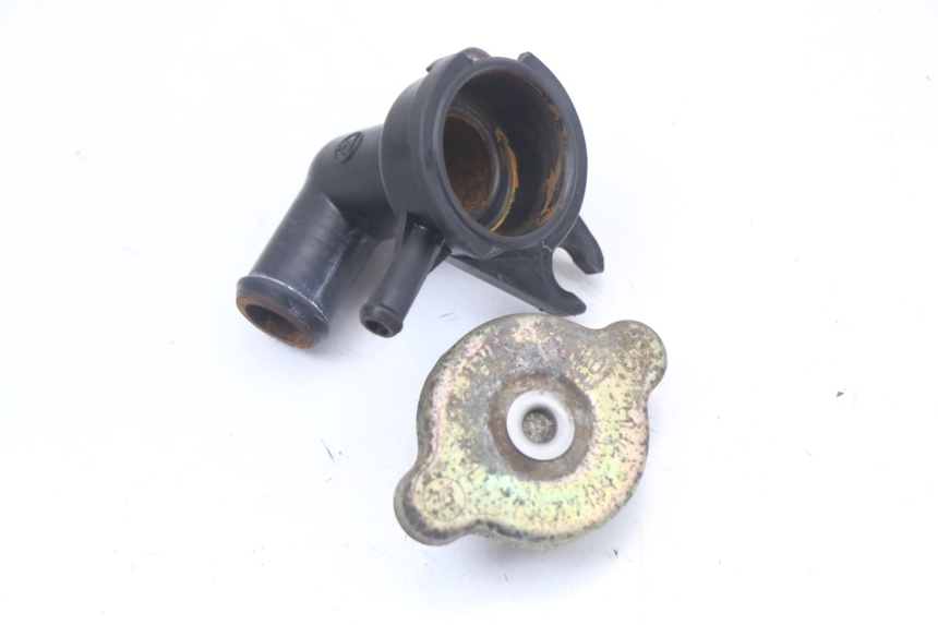 photo de TAPA DEL RADIADOR HONDA FES PANTHEON 2T 125 (1998 - 2002) - Detalle de la pieza