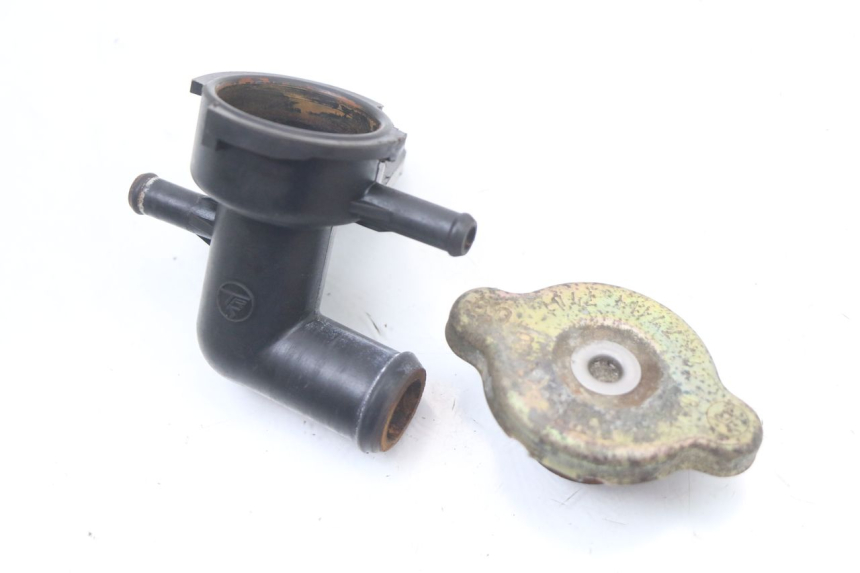 photo de TAPA DEL RADIADOR HONDA FES PANTHEON 2T 125 (1998 - 2002) - Zoom estado de uso