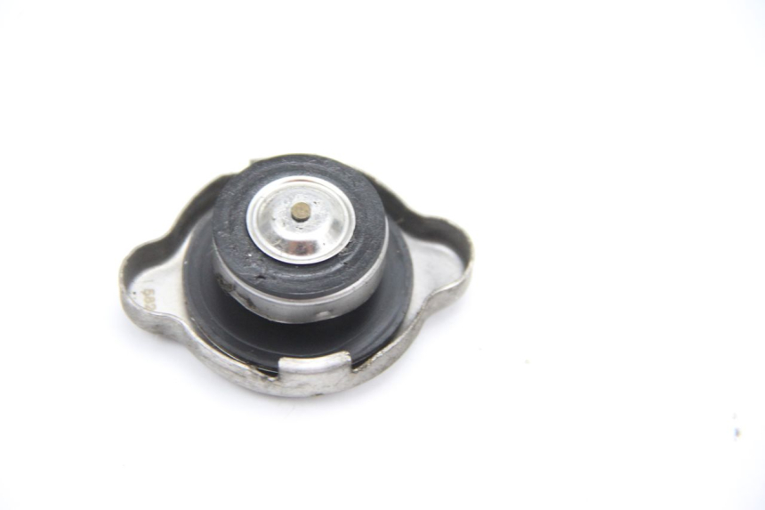 photo de TAPA DEL RADIADOR HONDA FES PANTHEON 125 (2003 - 2007) - Detalle de la pieza