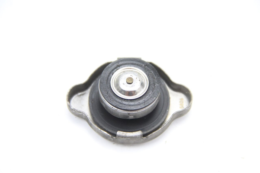 photo de TAPA DEL RADIADOR HONDA FES PANTHEON 125 (2003 - 2007) - Zoom estado de uso