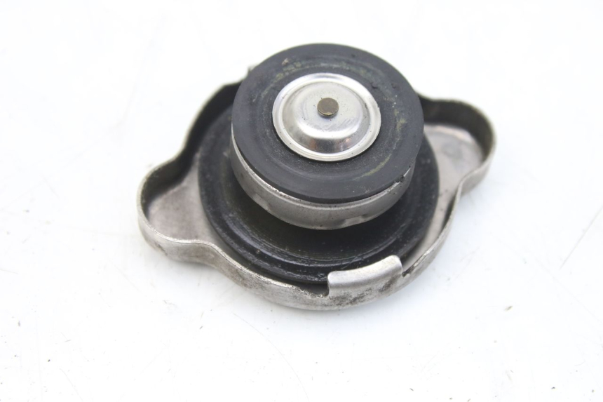photo de TAPA DEL RADIADOR HONDA FES S-WING SWING ABS 125 (2007 - 2015) - Zoom estado de uso
