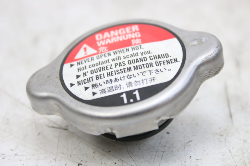 photo de TAPA DEL RADIADOR HONDA FES S-WING SWING ABS 125 (2007 - 2015) - Vista principal