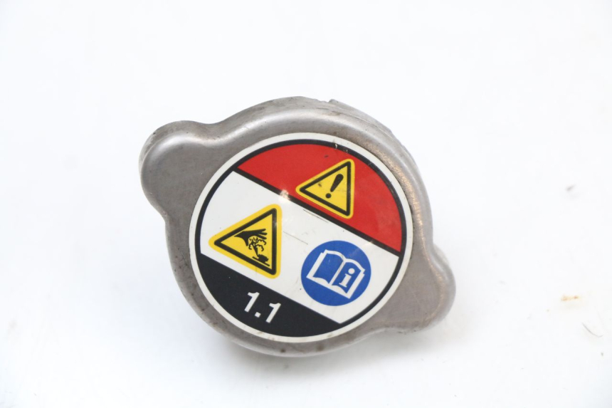 photo de TAPA DEL RADIADOR HONDA FES S-WING SWING ABS 125 (2007 - 2015) - Vista principal