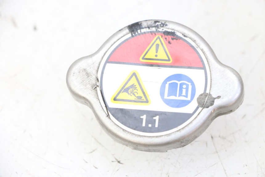 photo de TAPA DEL RADIADOR HONDA FES S-WING SWING ABS 125 (2007 - 2015) - Vista principal