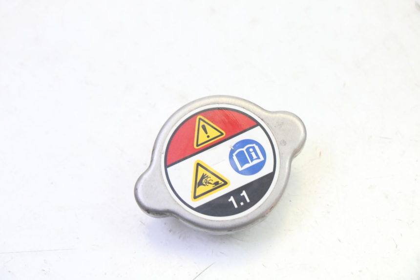 photo de TAPA DEL RADIADOR HONDA FES S-WING SWING ABS 125 (2007 - 2015) - Vista principal