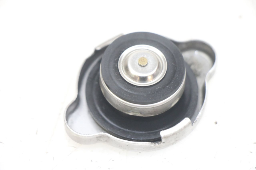 photo de TAPA DEL RADIADOR HONDA PCX (JF28) 125 (2009 - 2011) - Detalle de la pieza