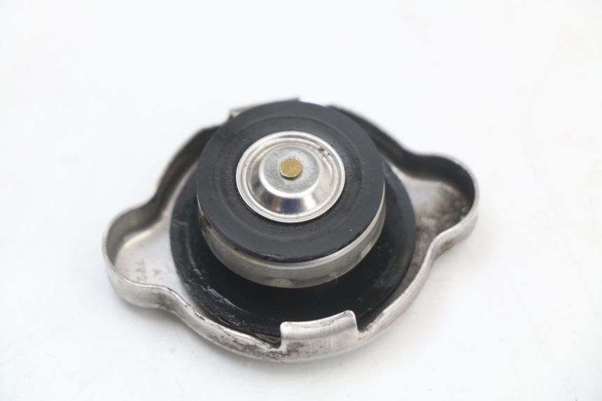 photo de TAPA DEL RADIADOR HONDA PCX (JF47) 125 (2012 - 2013) - Zoom estado de uso