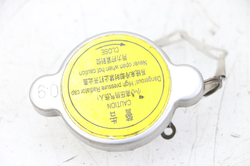 photo de TAPA DEL RADIADOR PEUGEOT CITYSTAR 125 (2011 - 2017) - Vista principal