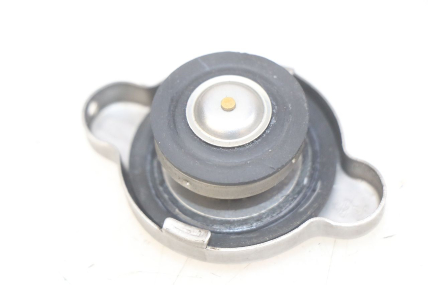photo de TAPA DEL RADIADOR APRILIA SCARABEO LIGHT 125 (2007 - 2011) - Vista principal