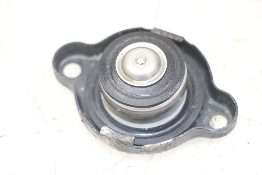 photo de TAPA DEL RADIADOR YAMAHA TDM ABS 900 (2002 - 2014) - Vista principal