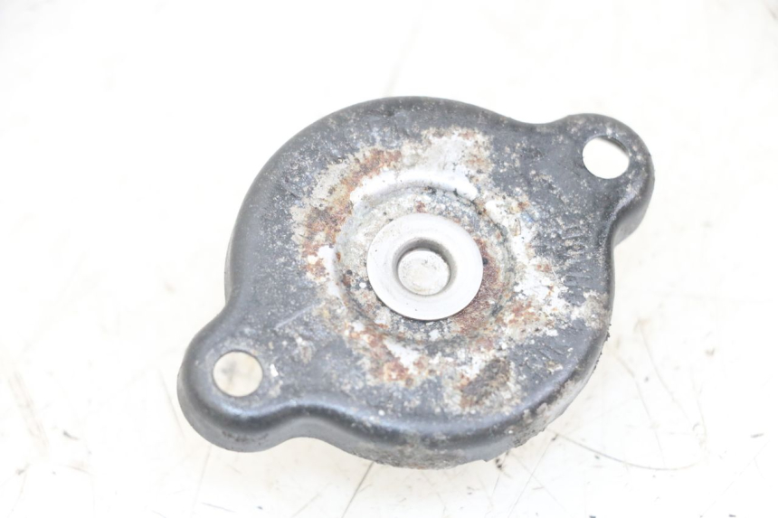 photo de TAPA DEL RADIADOR YAMAHA TDM ABS 900 (2002 - 2014) - Detalle de la pieza