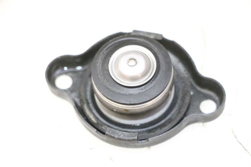 photo de TAPA DEL RADIADOR YAMAHA TDM ABS 900 (2002 - 2014) - Detalle de la pieza