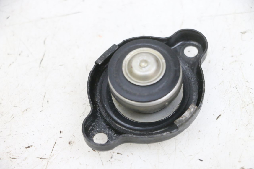 photo de TAPON RADIADOR YAMAHA TDM ABS 900 (2002 - 2014) - Detalle de la pieza