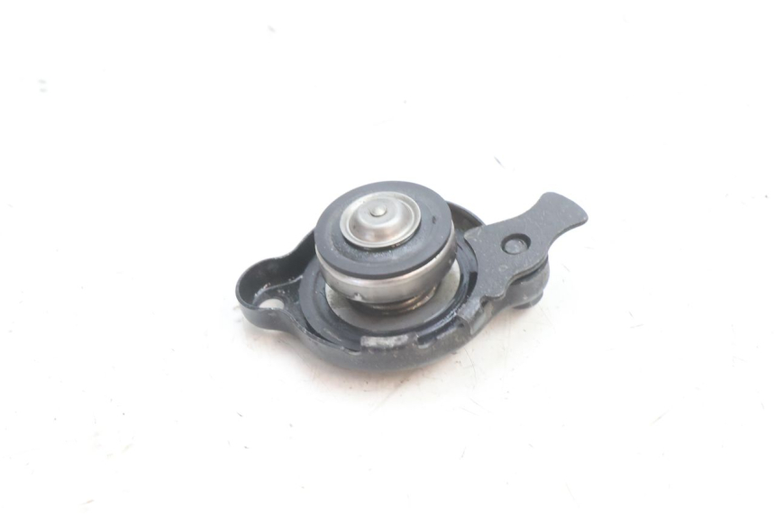photo de TAPON RADIADOR YAMAHA TDM ABS 900 (2002 - 2014) - Zoom estado de uso