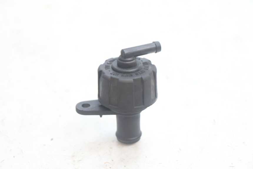photo de TAPA DEL RADIADOR YAMAHA X-MAX XMAX 125 (2010 - 2013) - Zoom estado de uso