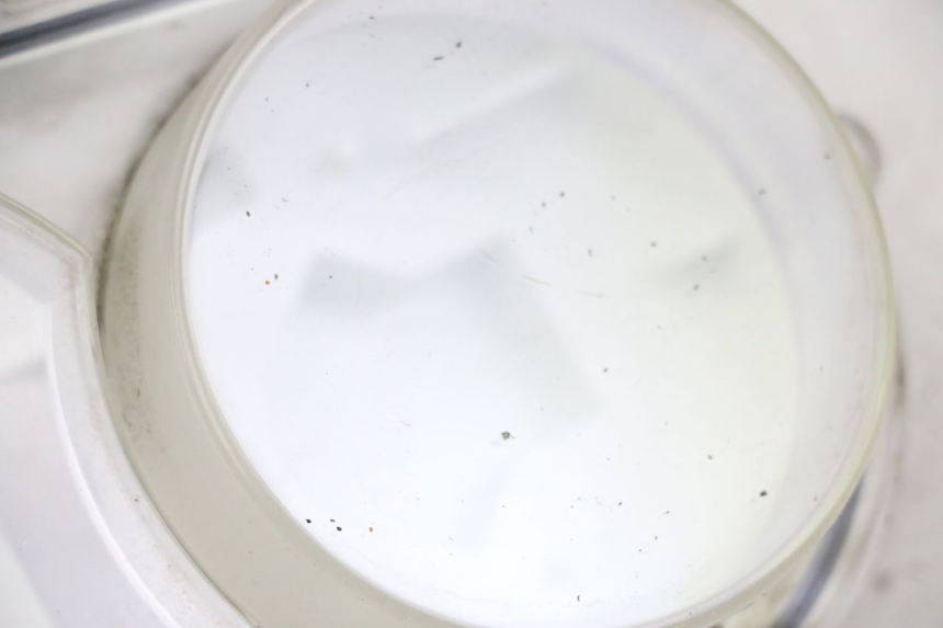 photo de VELOCIMETRO VASO PEUGEOT SATELIS 250 (2006 - 2012) - Detalle de la pieza