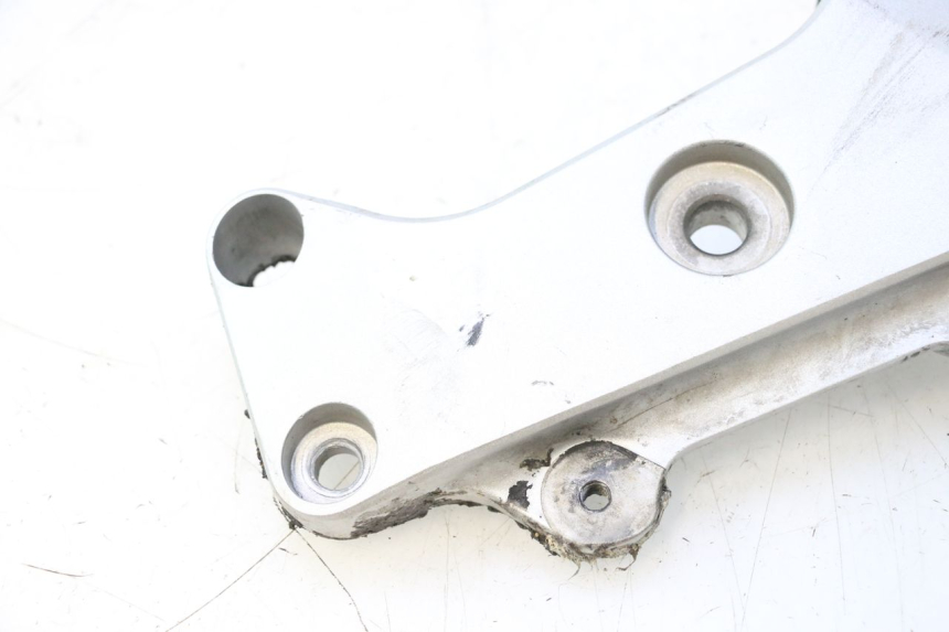 photo de TAPA BASTIDOR IZQUIERDA HONDA CB F HORNET 600 (2005 - 2006) - Vista general del producto