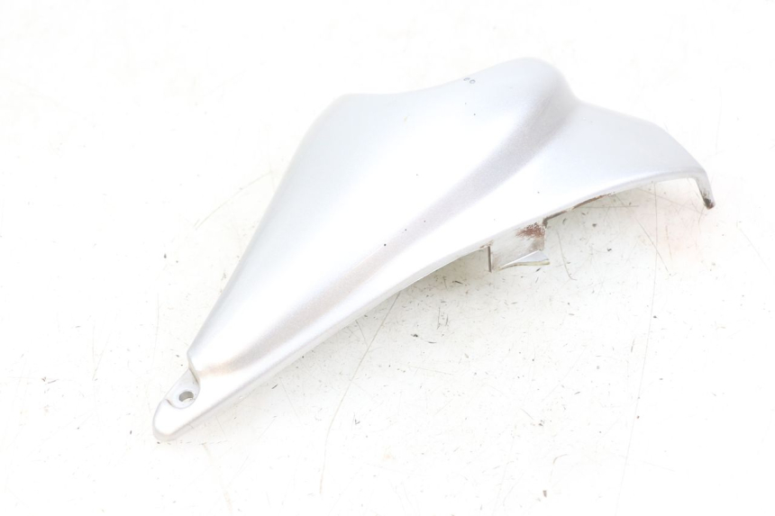 photo de TAPA BASTIDOR IZQUIERDA HYOSUNG GF 125 (2001 - 2005) - Primer plano técnico