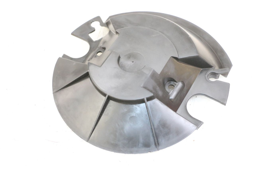 photo de CARENADO HORQUILLA PEUGEOT ELYSTAR 125 (2002 - 2007) - Detalle de la pieza