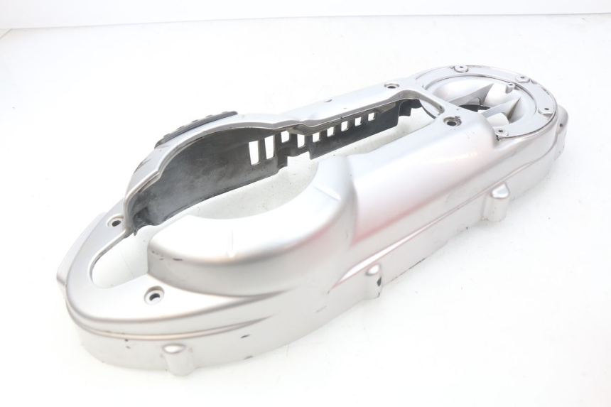 photo de CáRTER DEL MOTOR PEUGEOT GEOPOLIS 400 (2007 - 2013) - Primer plano técnico