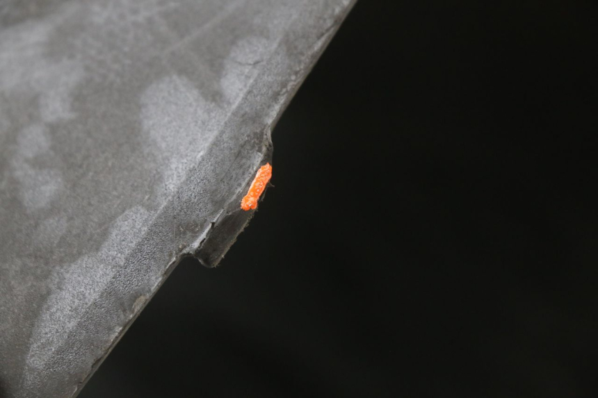 photo de TAPA BAJO ASIENTO KYMCO AGILITY CARRY 50 (2011 - 2020) - Detalles de los puntos de fijación