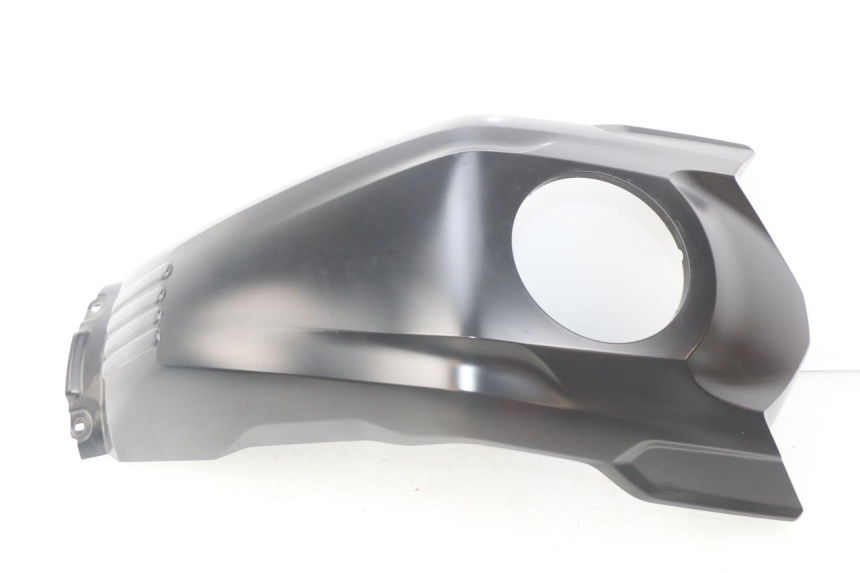 photo de TAPA DEPOSITO BMW F GS K81 850 (2018 - 2023) - Vista principal