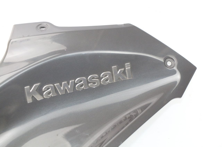 photo de TAPA DEPOSITO KAWASAKI Z Z900 900 (2017 - 2019) - Perfil de la pieza de repuesto