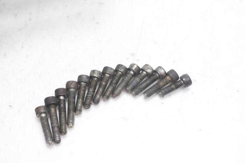 photo de TAPA ENCENDIDO DUCATI SS IE DS CARENEE 1000 (2002 - 2006) - Estado de la superficie y material