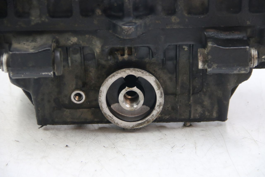 photo de CÁRTER DE MOTOR INFERIOR YAMAHA FZS FAZER 600 (2001 - 2003) - Estado de la superficie y material