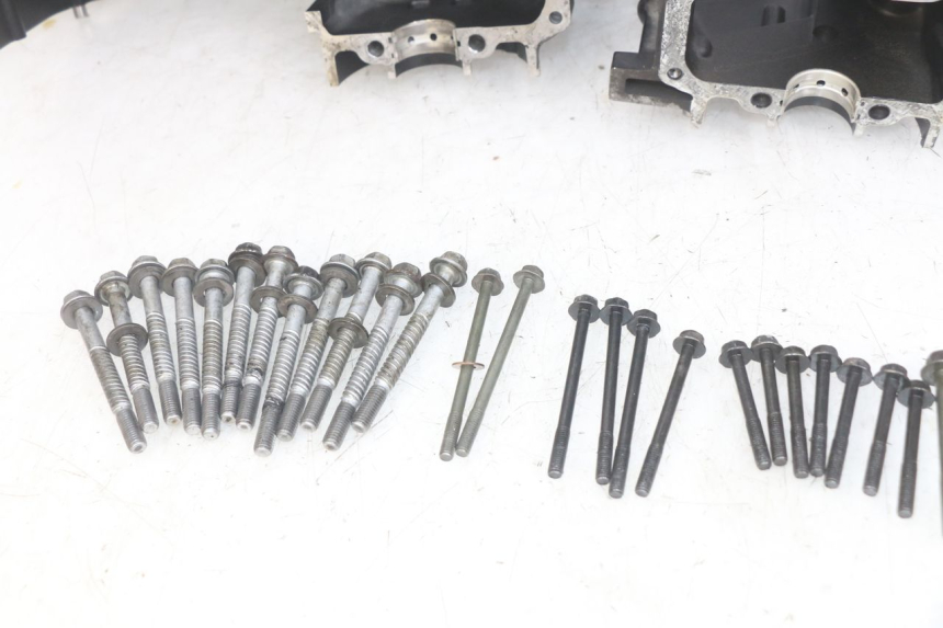 photo de CÁRTER DE MOTOR INFERIOR YAMAHA FZS FAZER 600 (1998 - 2001) - Primer plano técnico