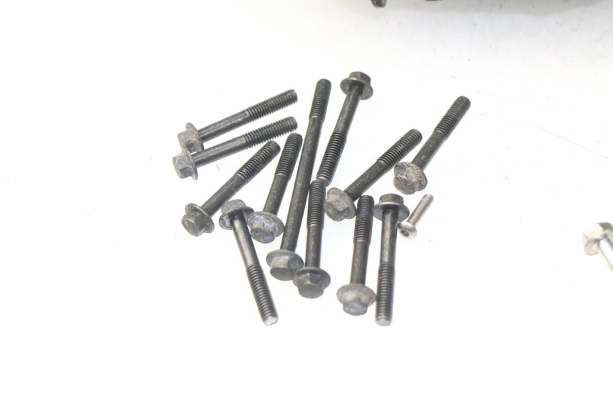 photo de CARTER HONDA NSS EX FORZA 250 (2005 - 2013) - Enfoque en la estructura