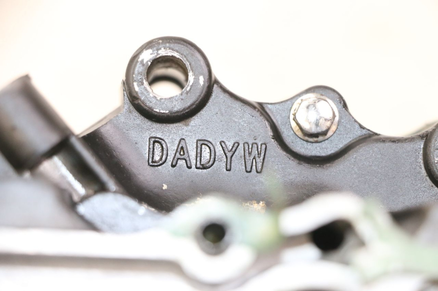 photo de CARTER REGAL RAPTOR RAXTER 2 125 (2007 - 2015) - Zoom estado de uso