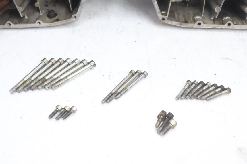 photo de CARTER DUCATI SS IE DS CARENEE 1000 (2002 - 2006) - Estado de la superficie y material