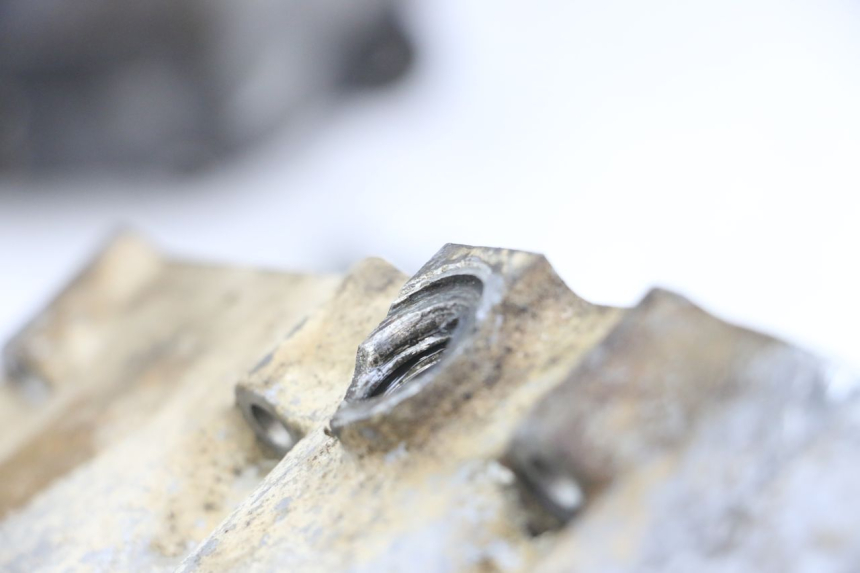 photo de CÁRTER DE MOTOR INFERIOR HONDA TRX 300 (1988 - 2000) - Primer plano de alta resolución