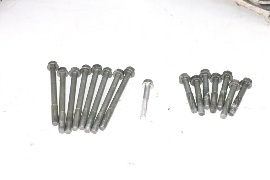 photo de CARTER SUZUKI VL INTRUDER 125 (2004 - 2007) - Primer plano de alta resolución